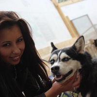 Катерина Бекичева