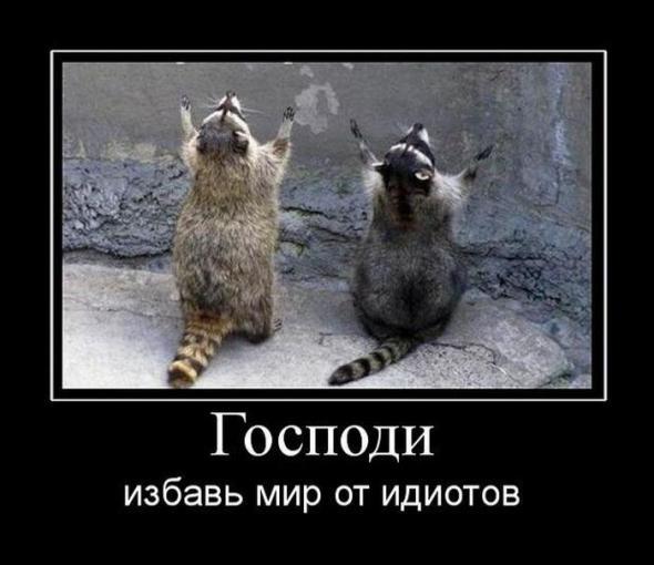 Ооо Пф Пульс