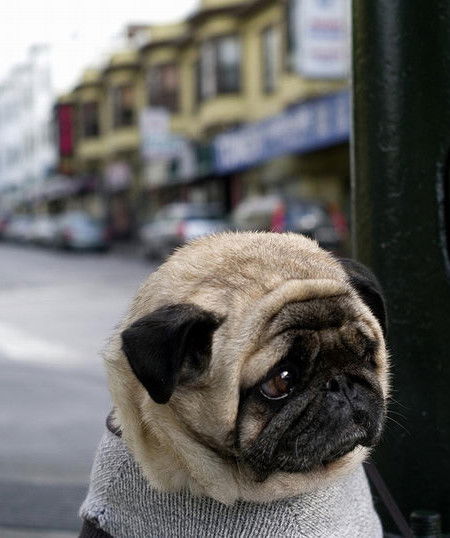 Владимир Баранов