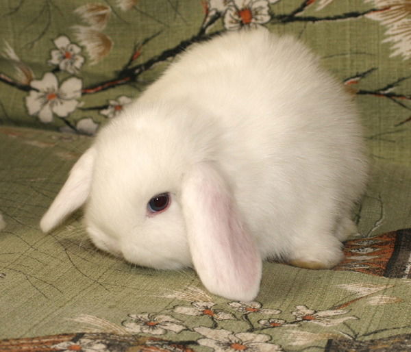 Сергей Жуков