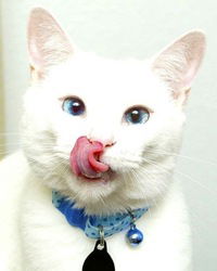 Марта Гельман