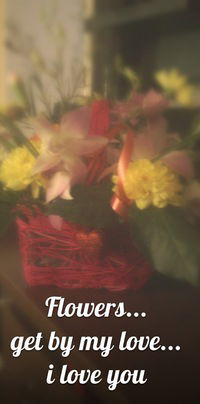 Натуська Камаева