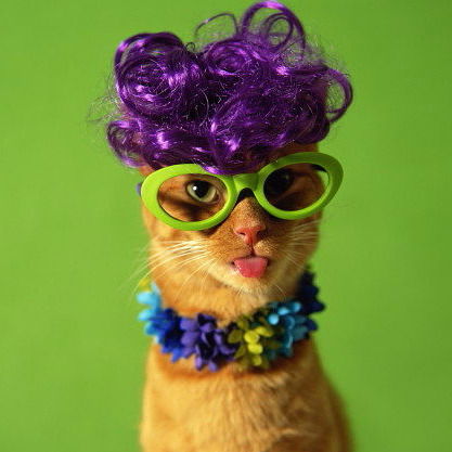 Наталья Винник