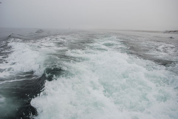 Aleksandr Shevchenko