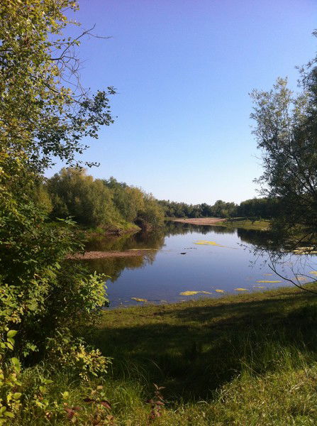 Виктория Костина