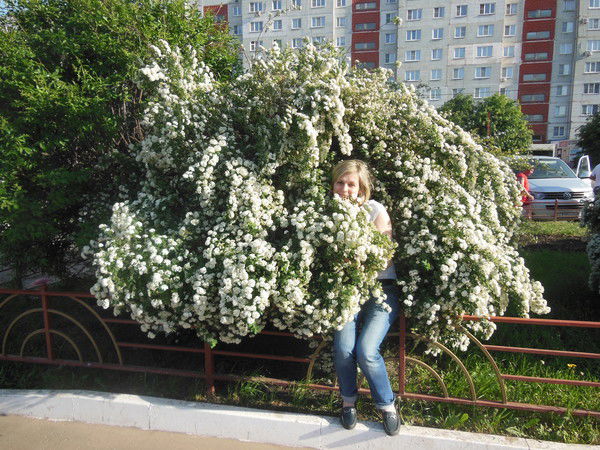 Елена Ноздрина