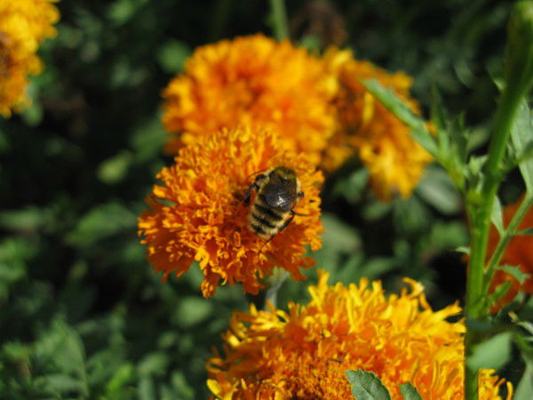 Настенька Туrкин@