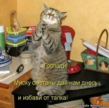 Диляра Мамедова