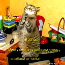 Диляра Мамедова
