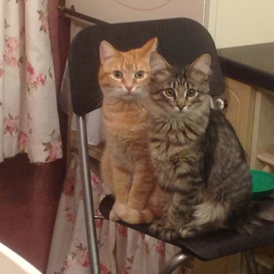 Екатерина Екатерина