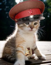 Сергей Герасимов