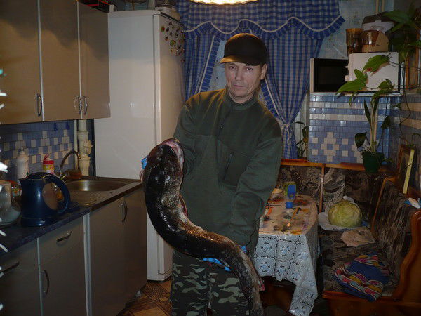 Владимир Ялкеев