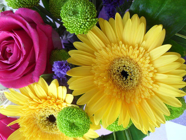 Валерия *******