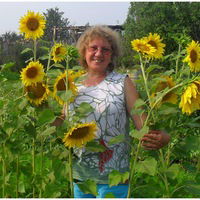 Светлана Богданова