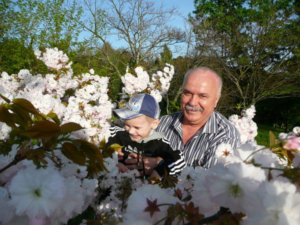 Алексей Шамрай