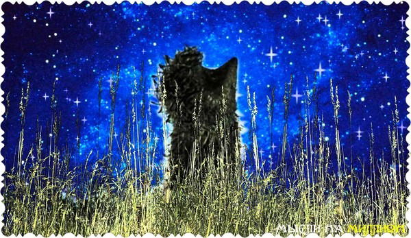 Ёжик В_Тумане