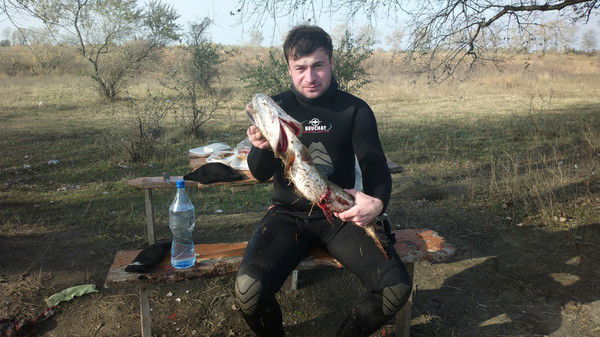 Гаджи Эльмурзаев