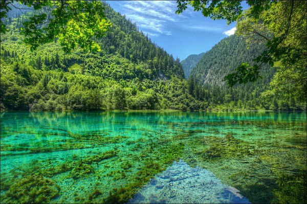 Татьяна Никишова