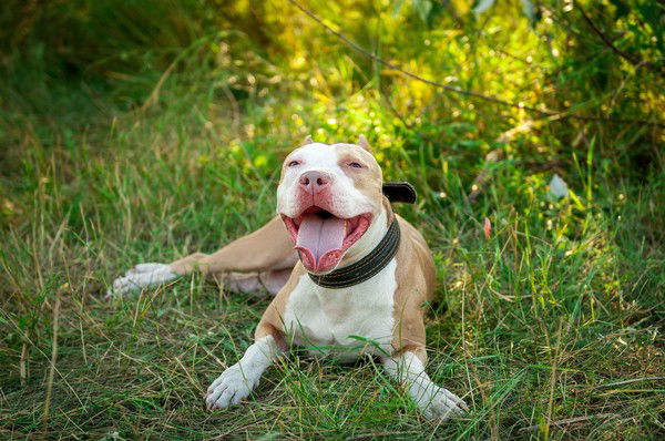 Карина Седых