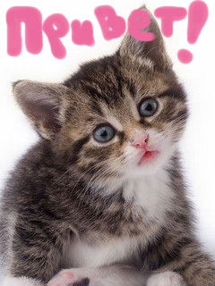 Елена Шульц