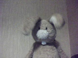 Юля Пилипенко