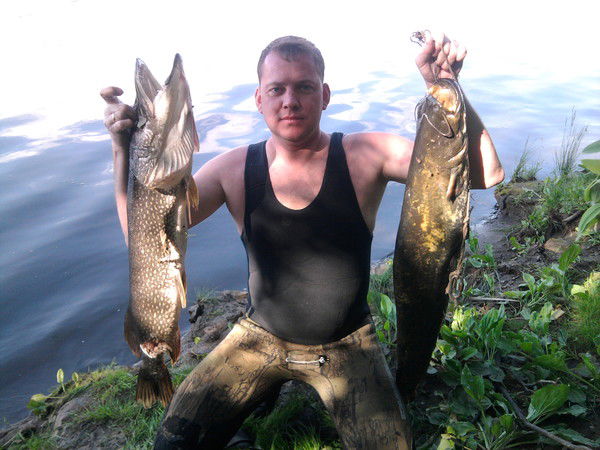 Михаил Зеленцов