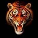 Алексей Михайлов