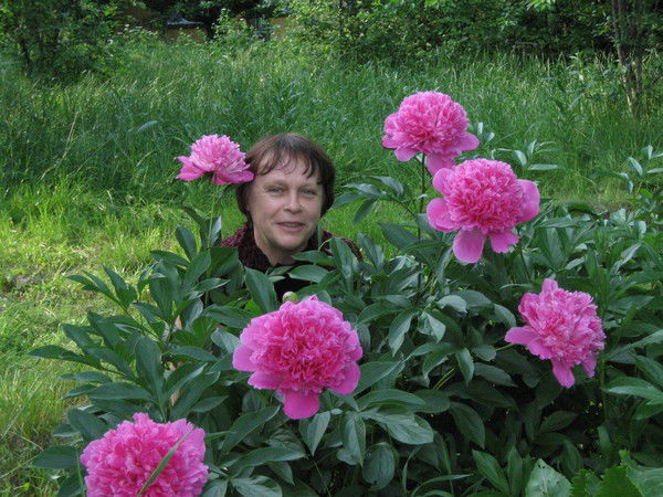 Елена Бурлакова