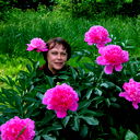 Елена Бурлакова