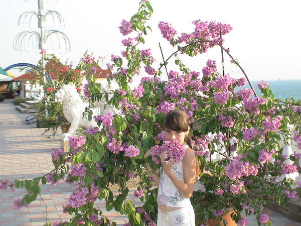 Кристина Писецкая