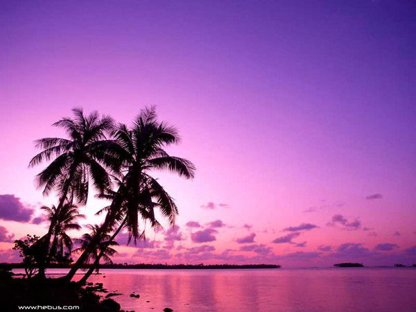 Анжела Бабійчук