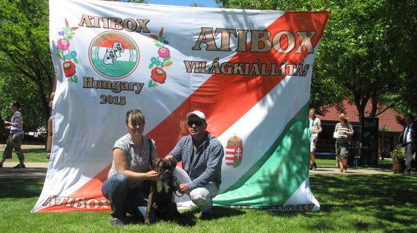 Александр Царенко