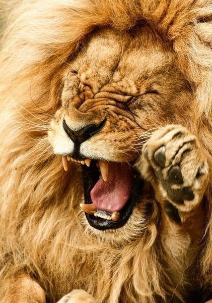 Гаухар Ахметжанова