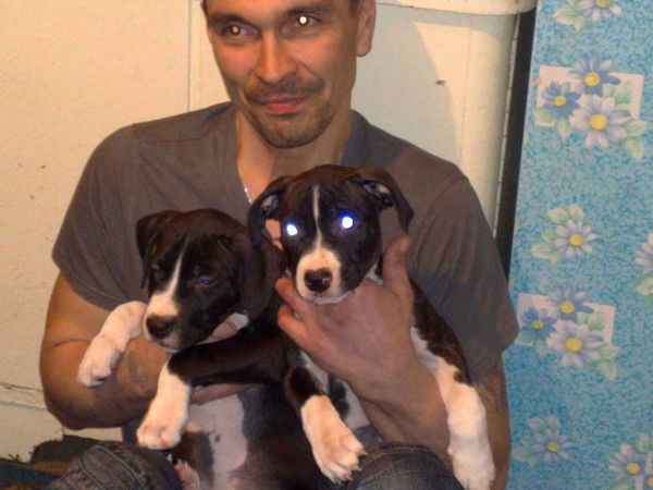 Александр Акланов