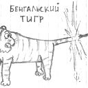 Vladimir Ratnovskiy