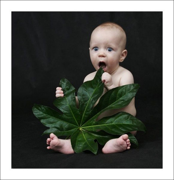 Александр Качаненко