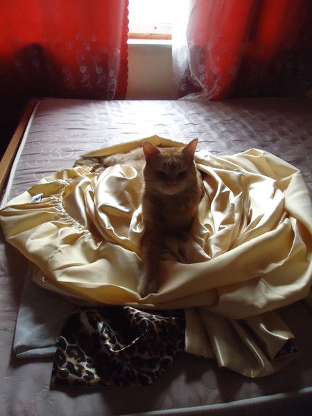 Екатерина Ермакова