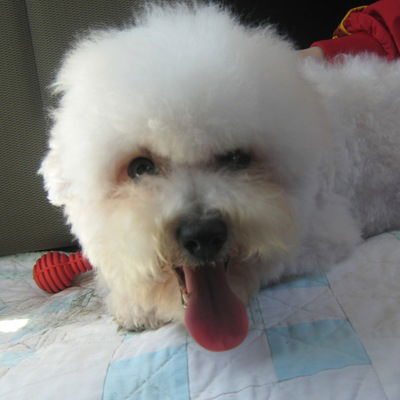 Пелагея Феоктистова