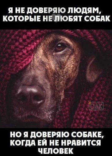 Игорь Киселёв