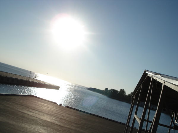 Максим Зубов