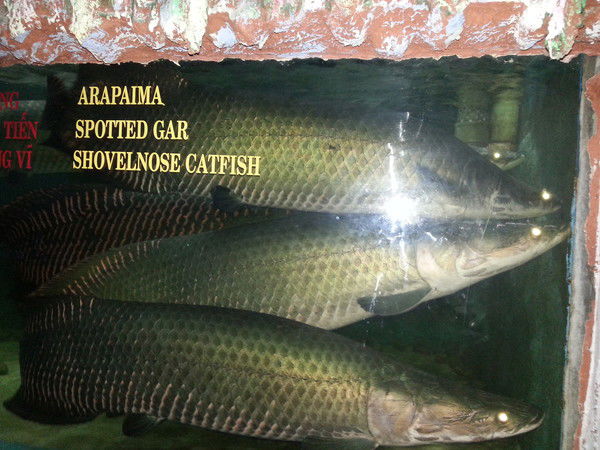 Зейнулла Сарсембаев