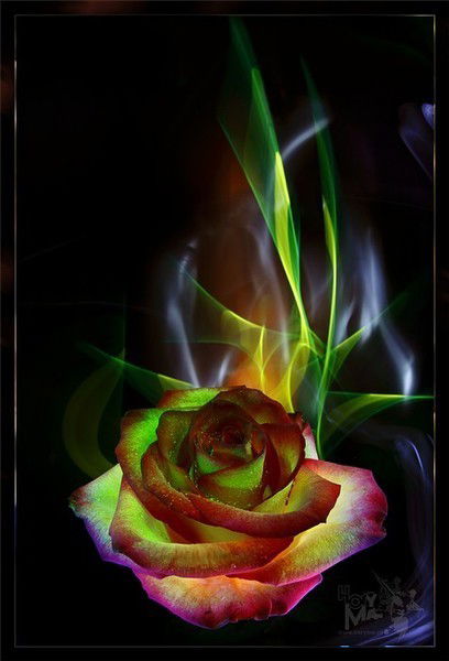 Надежда Боранкова