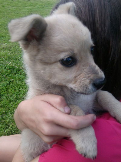 Лина Семёнова