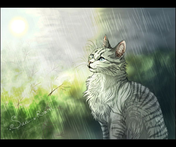 Light Drop Svetlolapka Tsm