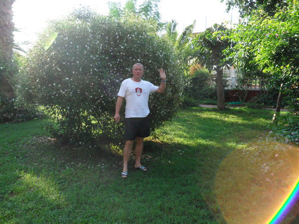 Валерий Ахмадеев