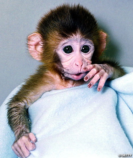 Константин Михайлин