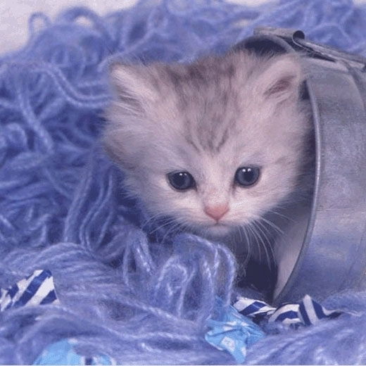 Светлана Сыртаева