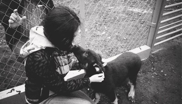 Василиса ********