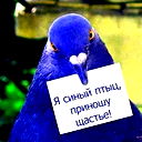 Светлана Напах