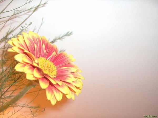 Татьяна Ершова